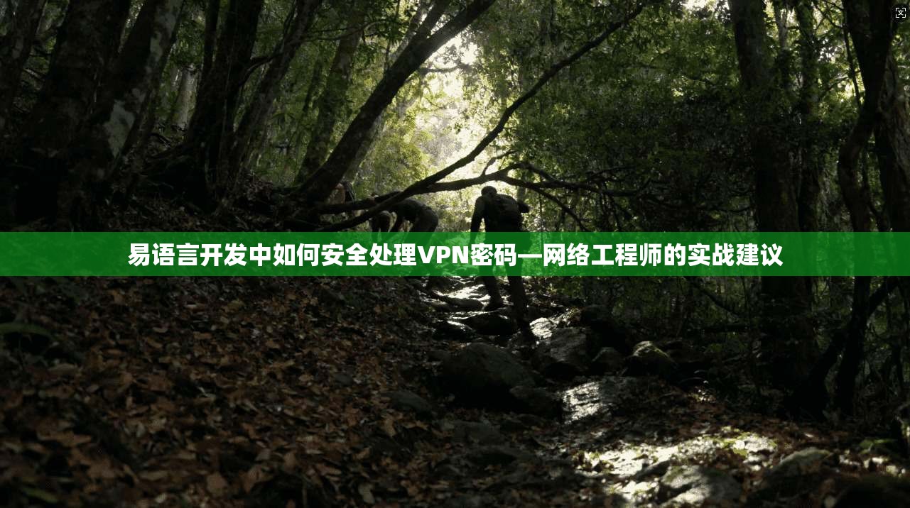 易语言开发中如何安全处理VPN密码—网络工程师的实战建议