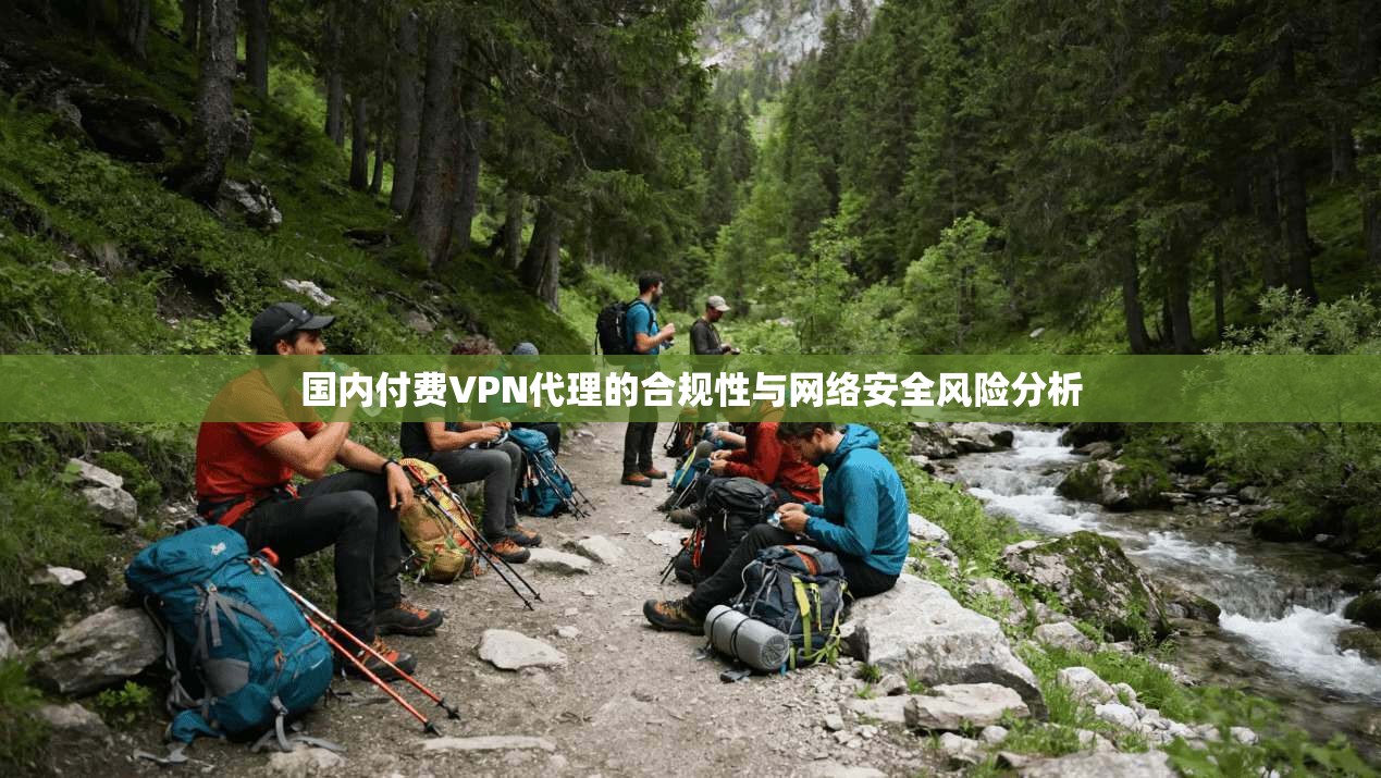 国内付费VPN代理的合规性与网络安全风险分析