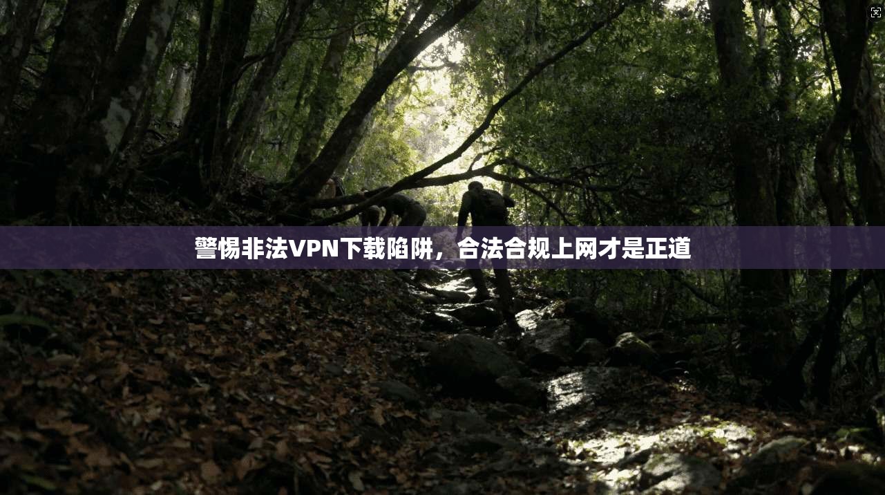 警惕非法VPN下载陷阱，合法合规上网才是正道