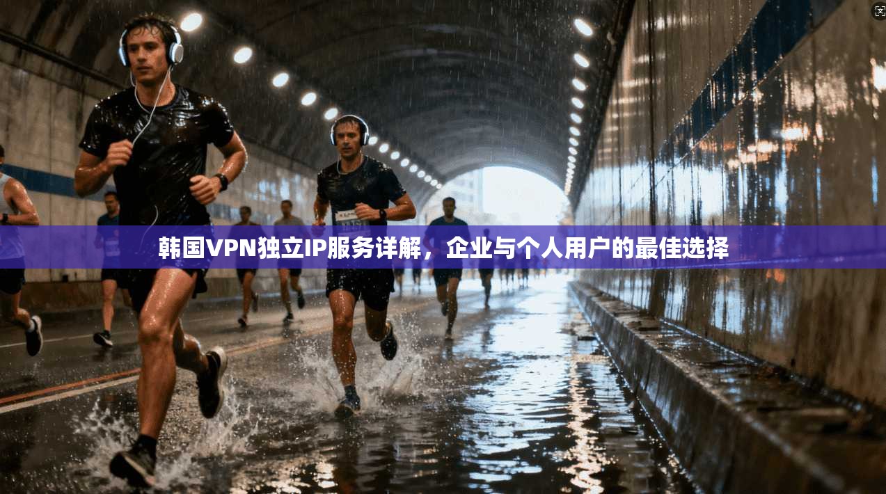 韩国VPN独立IP服务详解，企业与个人用户的最佳选择