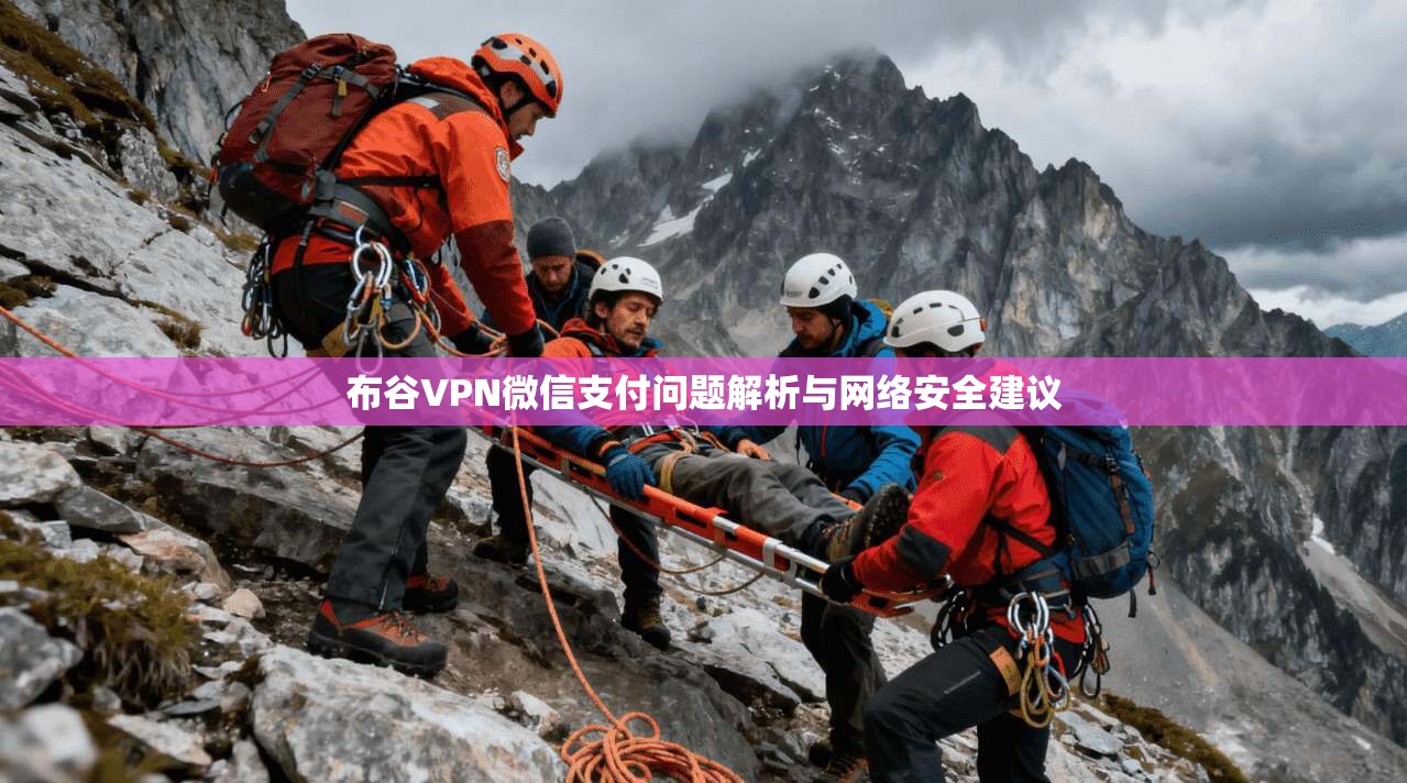 布谷VPN微信支付问题解析与网络安全建议