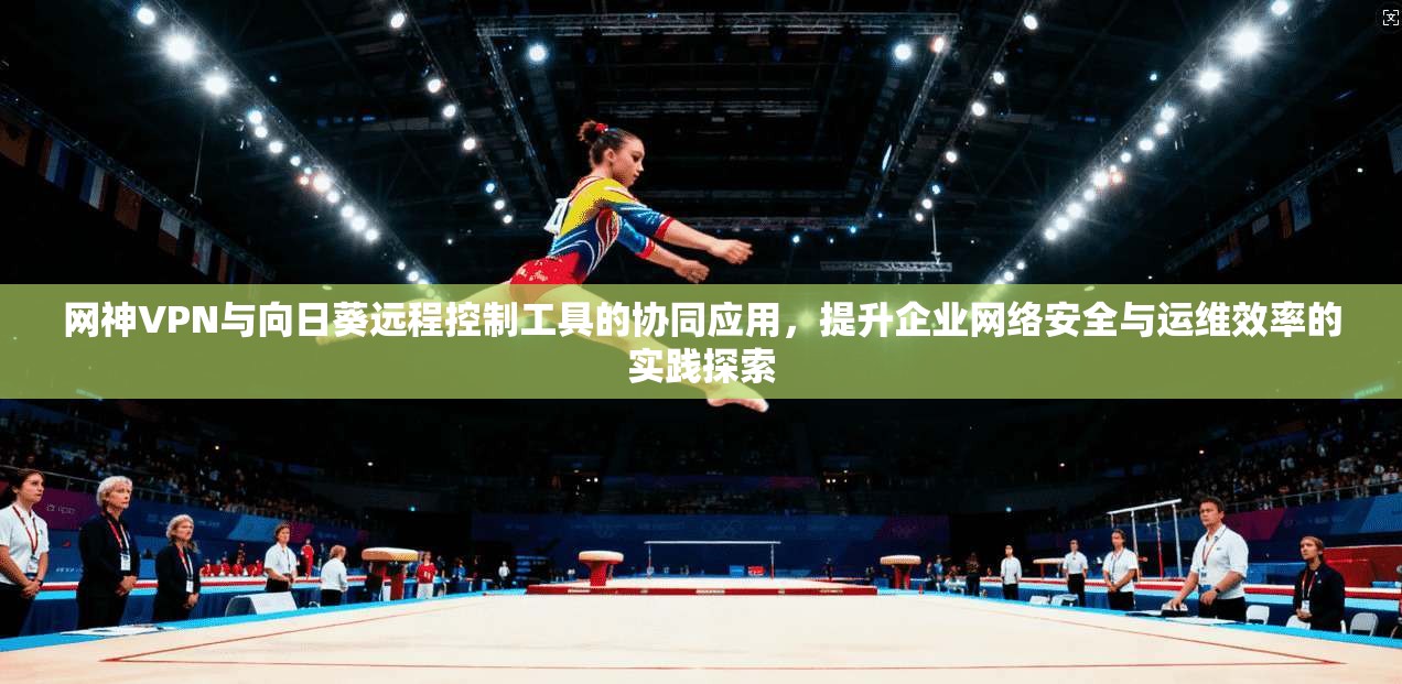 网神VPN与向日葵远程控制工具的协同应用，提升企业网络安全与运维效率的实践探索