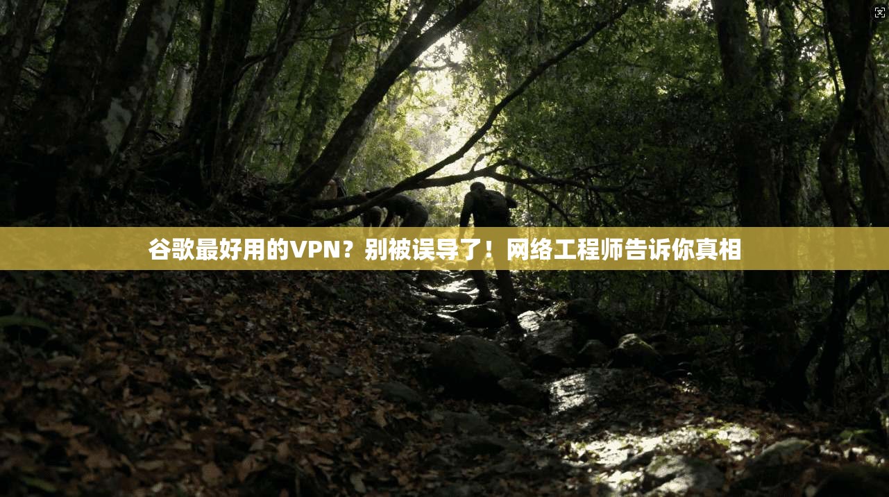 谷歌最好用的VPN？别被误导了！网络工程师告诉你真相