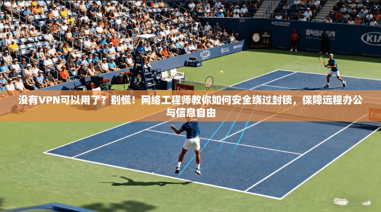 没有VPN可以用了？别慌！网络工程师教你如何安全绕过封锁，保障远程办公与信息自由