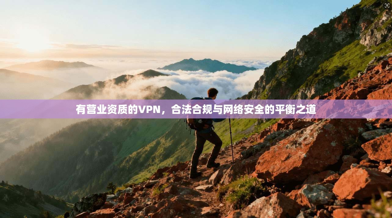 有营业资质的VPN，合法合规与网络安全的平衡之道