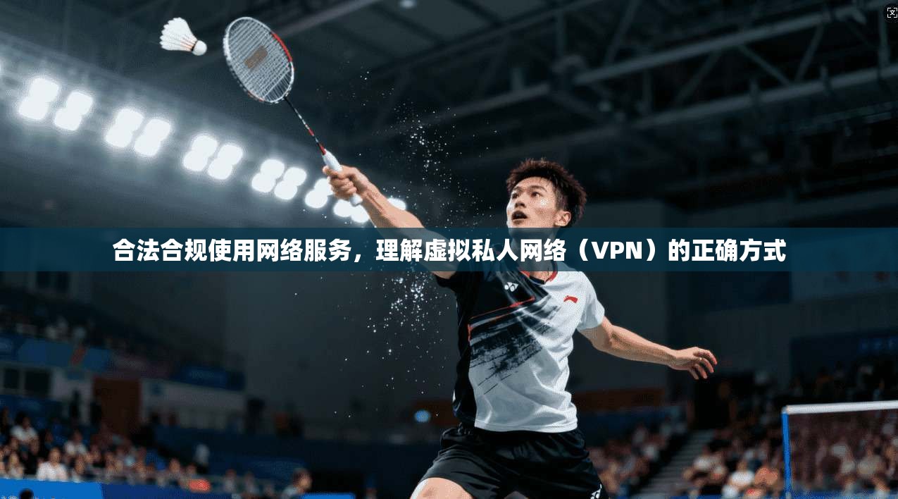 合法合规使用网络服务，理解虚拟私人网络（VPN）的正确方式