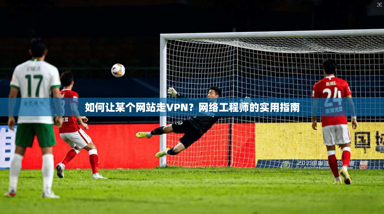 如何让某个网站走VPN？网络工程师的实用指南