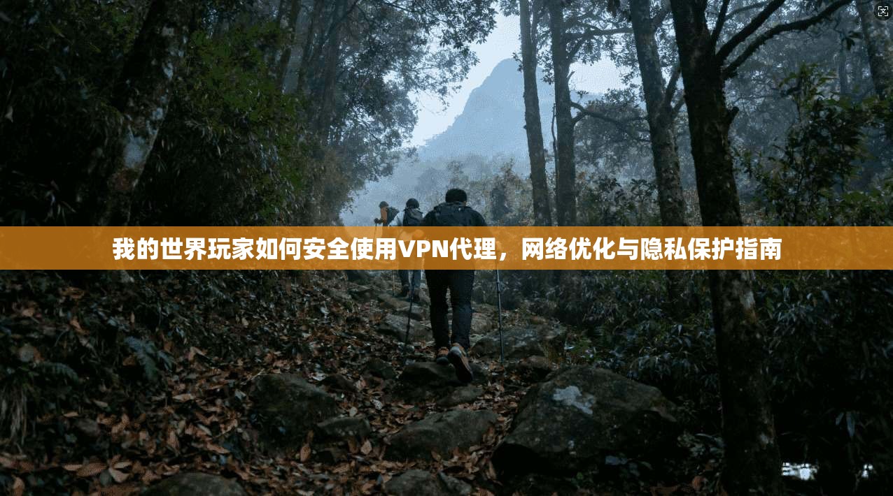 我的世界玩家如何安全使用VPN代理，网络优化与隐私保护指南