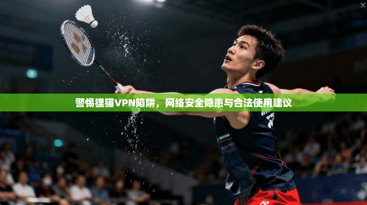 警惕狸猫VPN陷阱，网络安全隐患与合法使用建议