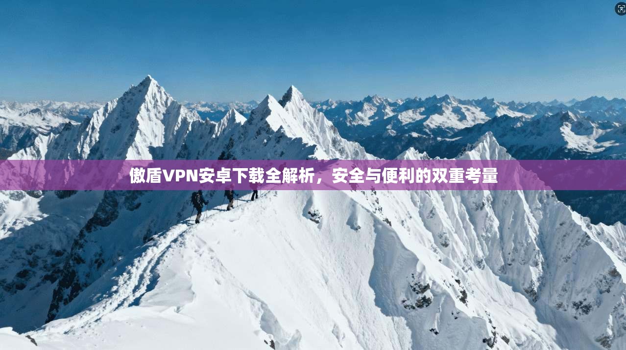 傲盾VPN安卓下载全解析，安全与便利的双重考量