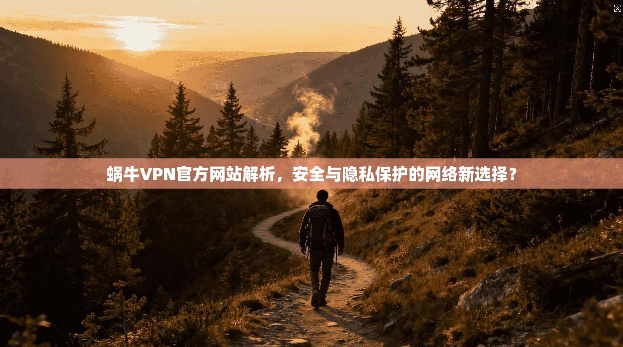 蜗牛VPN官方网站解析，安全与隐私保护的网络新选择？