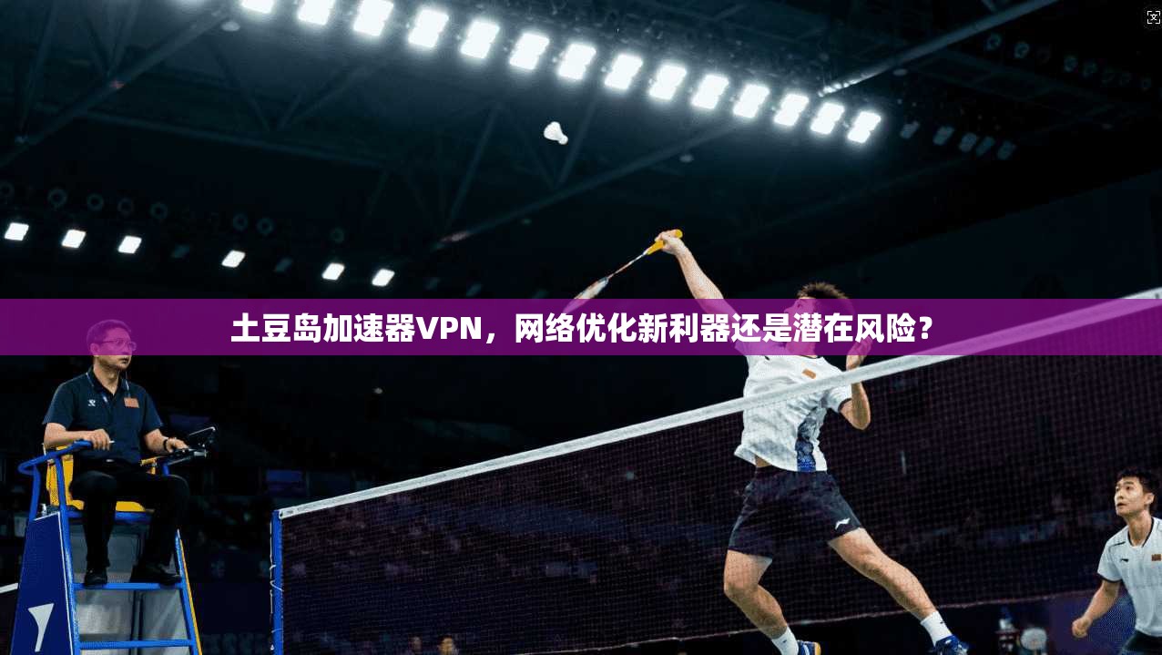 土豆岛加速器VPN，网络优化新利器还是潜在风险？