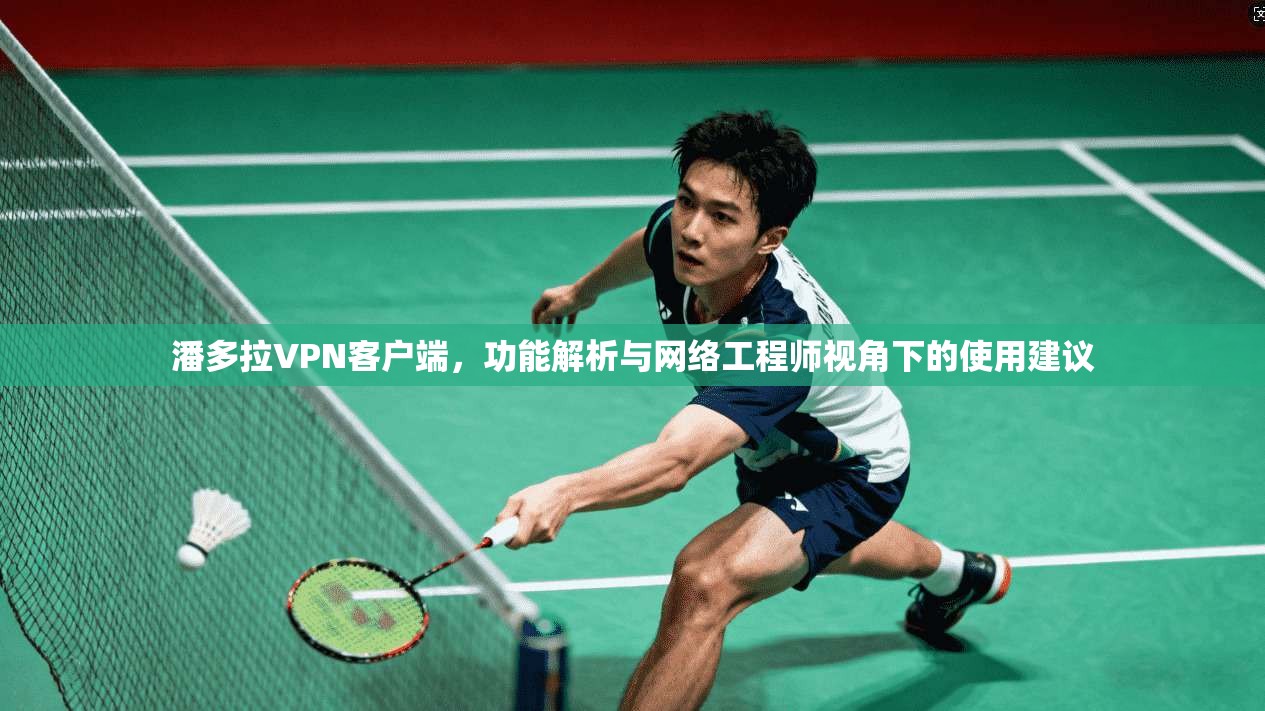 潘多拉VPN客户端，功能解析与网络工程师视角下的使用建议