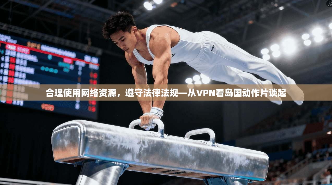 合理使用网络资源，遵守法律法规—从VPN看岛国动作片谈起