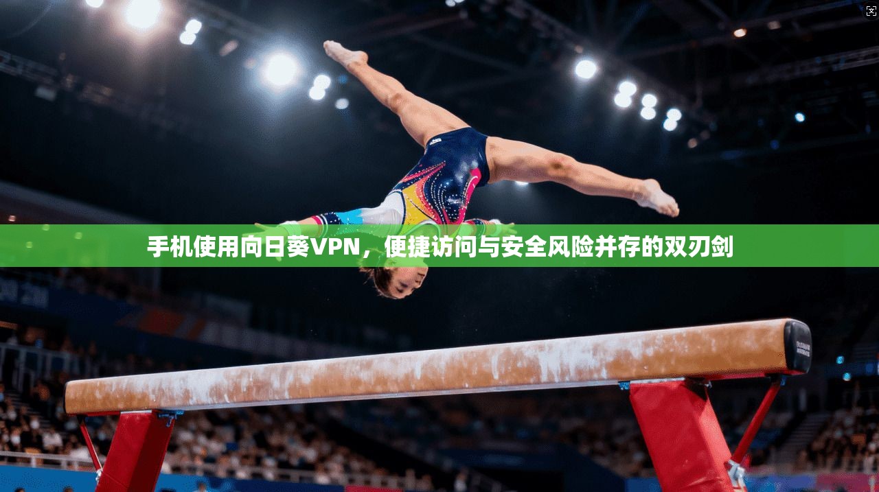 手机使用向日葵VPN，便捷访问与安全风险并存的双刃剑