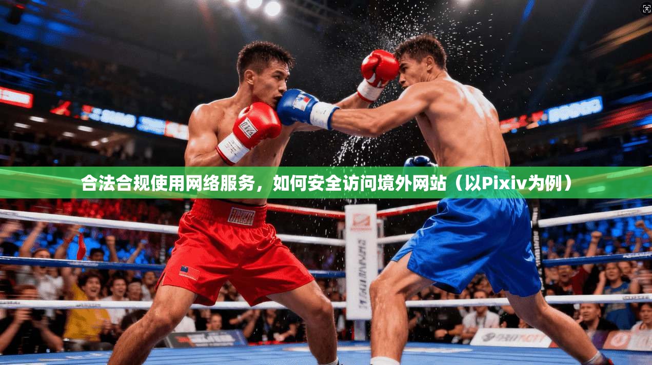 合法合规使用网络服务，如何安全访问境外网站（以Pixiv为例）