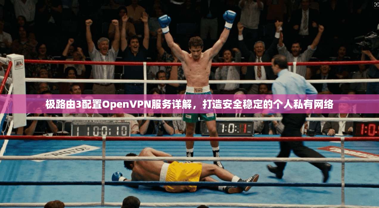 极路由3配置OpenVPN服务详解，打造安全稳定的个人私有网络
