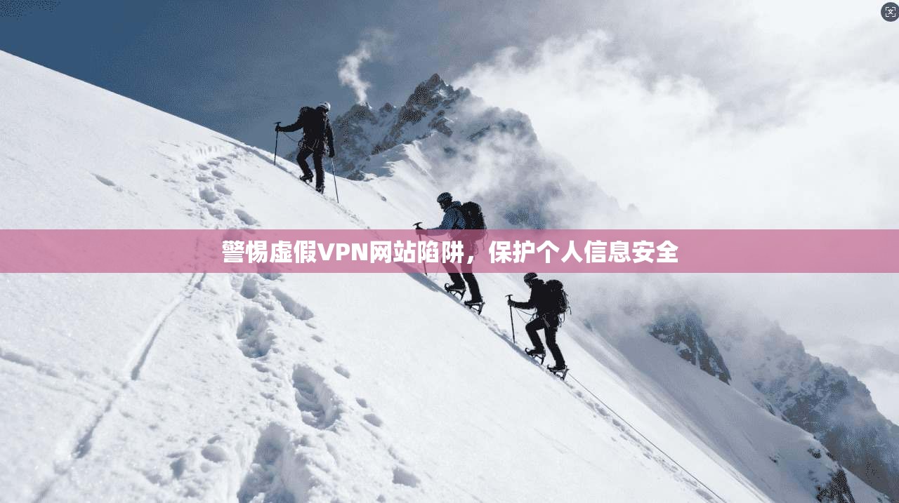 警惕虚假VPN网站陷阱，保护个人信息安全