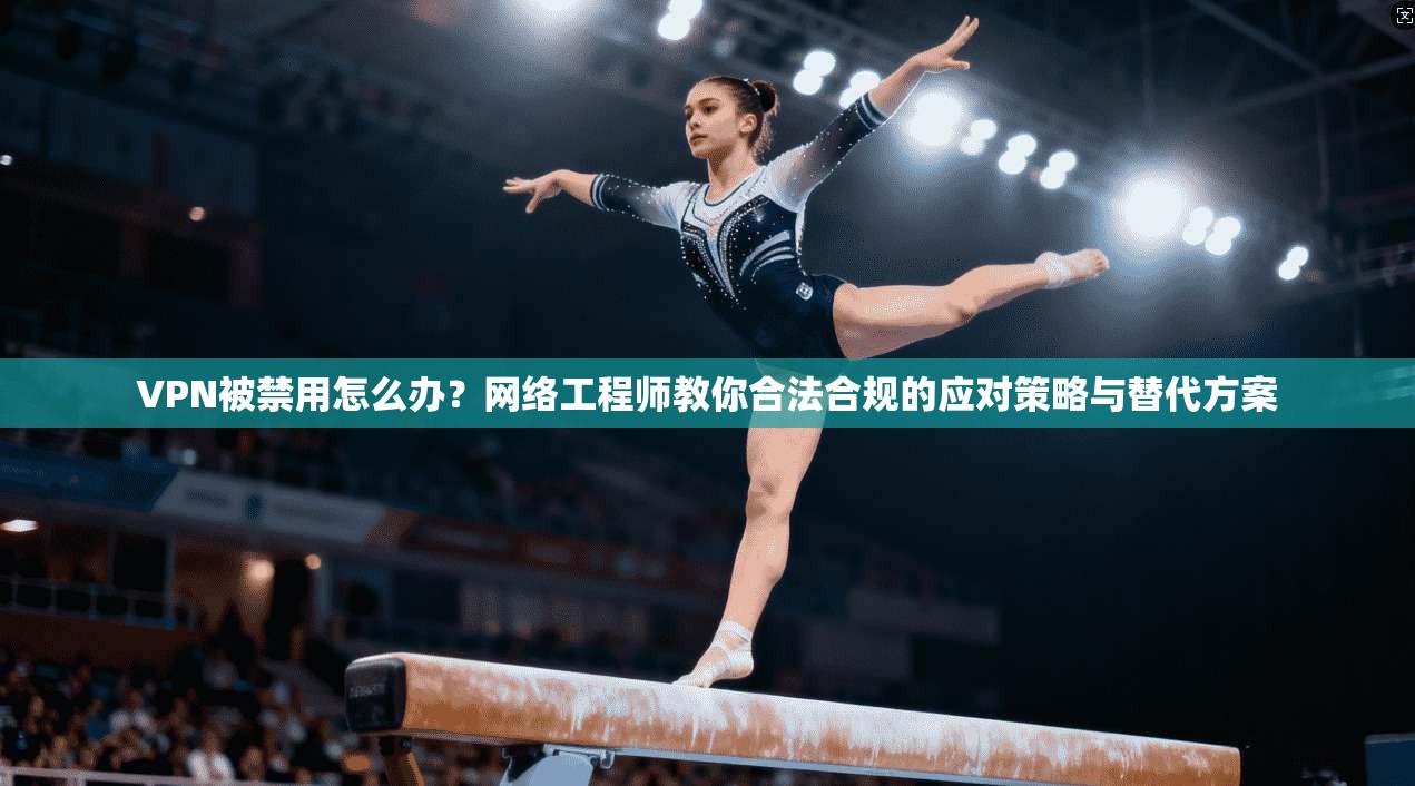 VPN被禁用怎么办？网络工程师教你合法合规的应对策略与替代方案