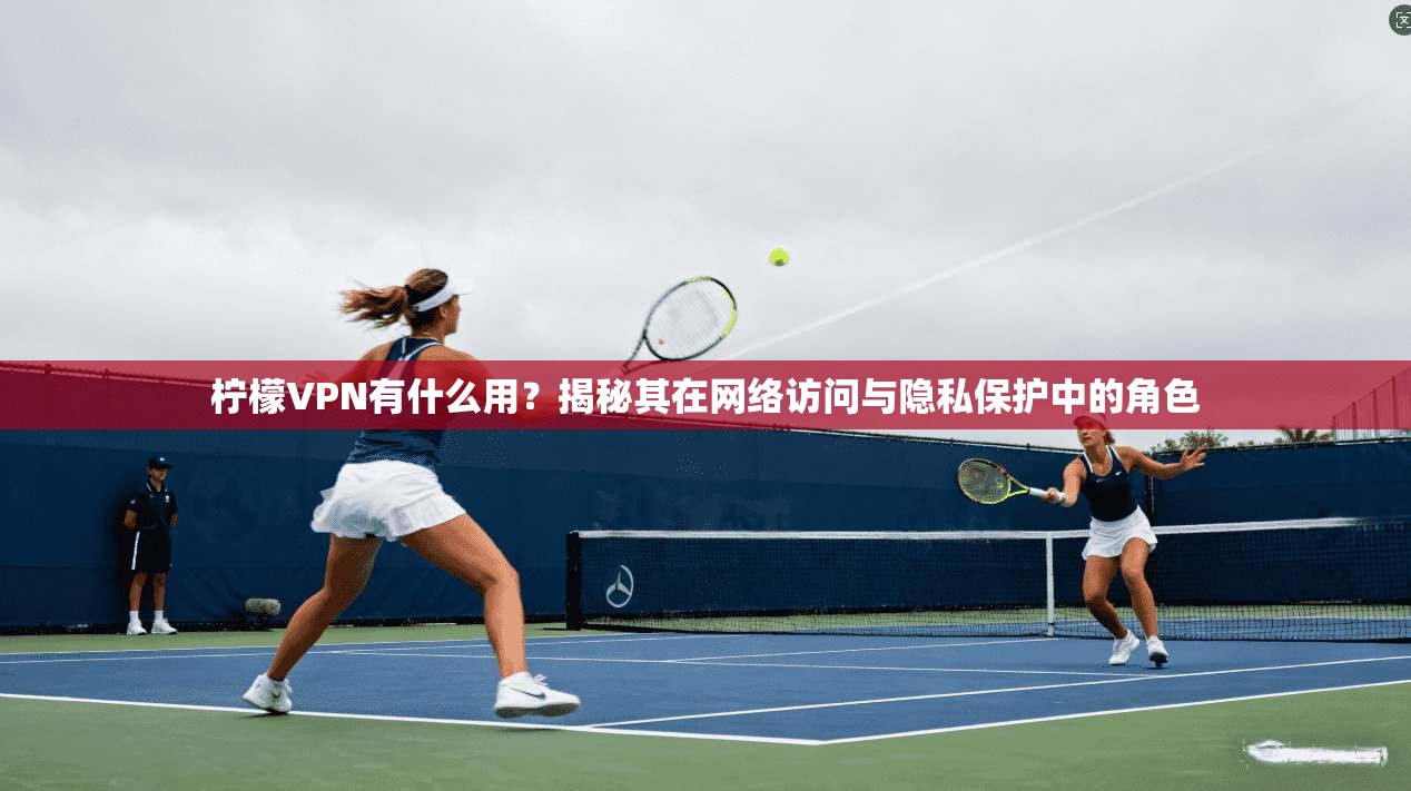 柠檬VPN有什么用？揭秘其在网络访问与隐私保护中的角色