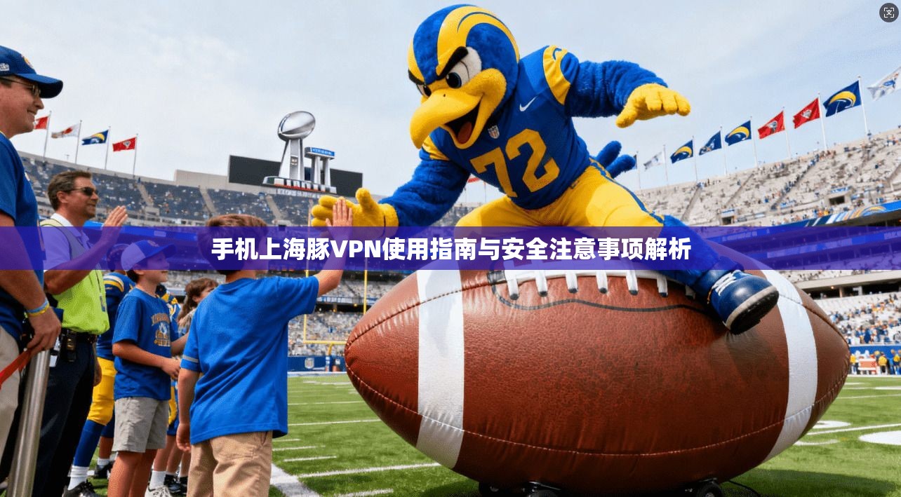 手机上海豚VPN使用指南与安全注意事项解析