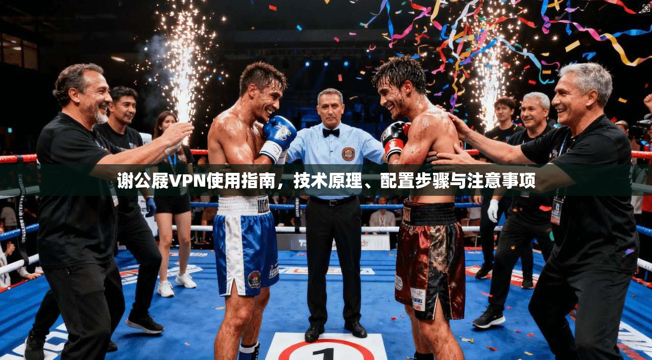 谢公屐VPN使用指南，技术原理、配置步骤与注意事项