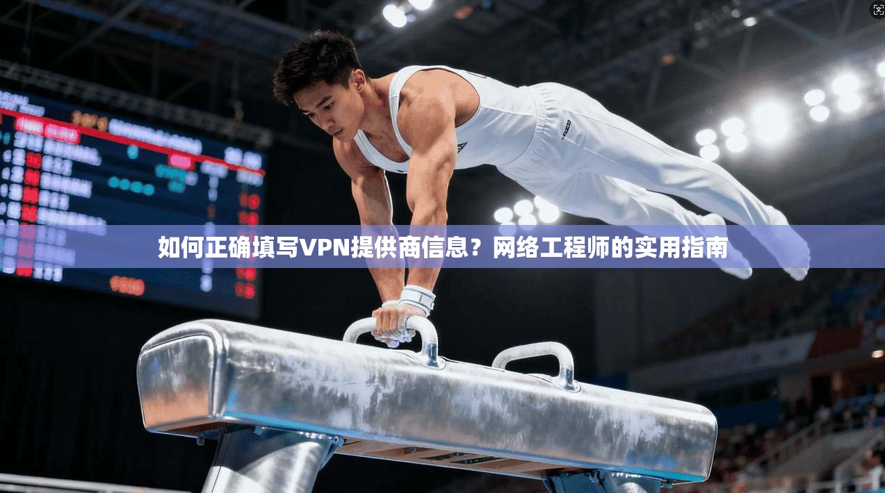 如何正确填写VPN提供商信息？网络工程师的实用指南