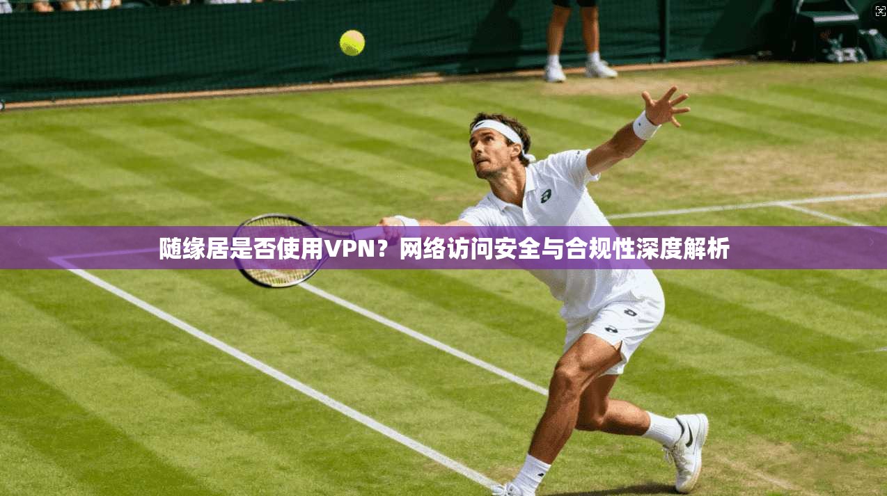 随缘居是否使用VPN？网络访问安全与合规性深度解析