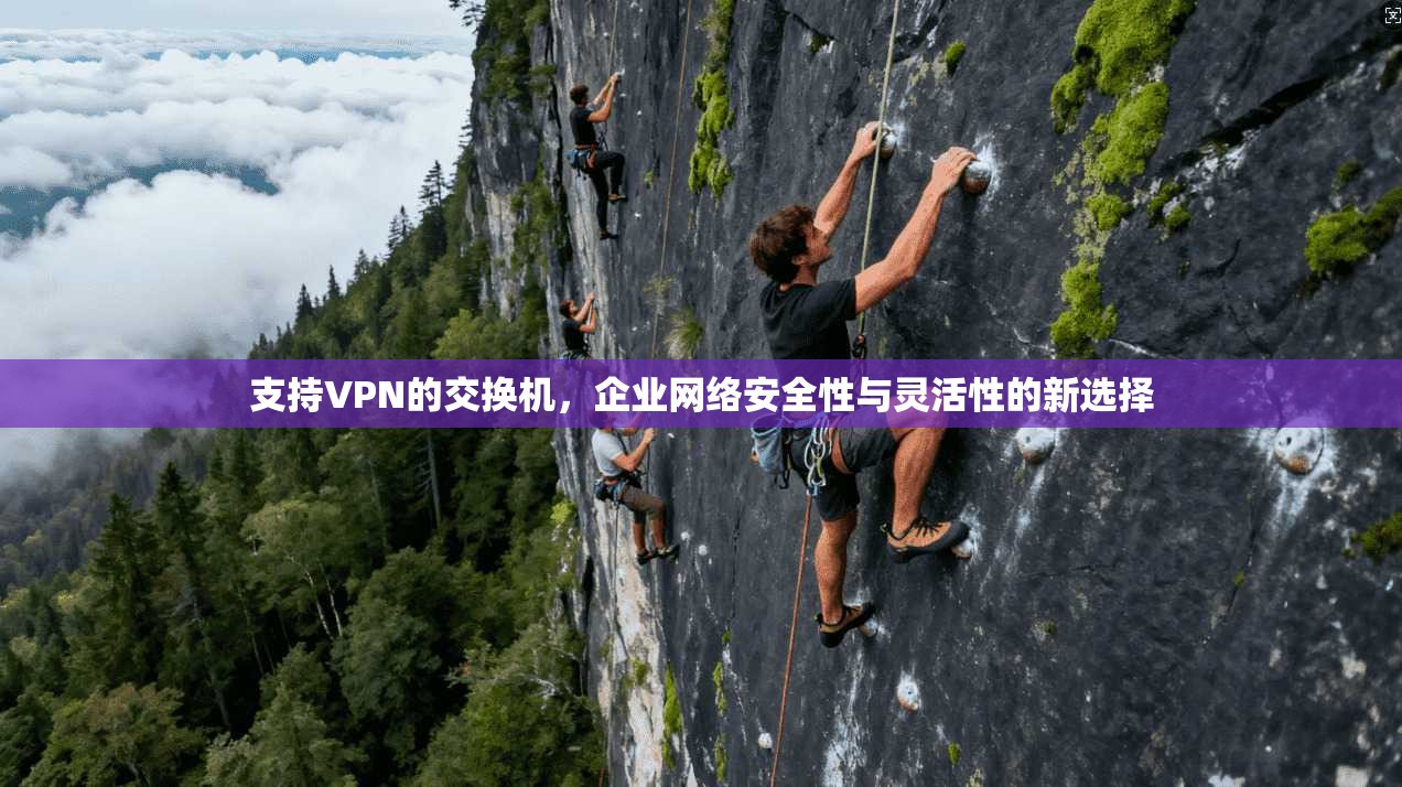 支持VPN的交换机，企业网络安全性与灵活性的新选择