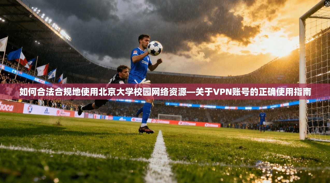 如何合法合规地使用北京大学校园网络资源—关于VPN账号的正确使用指南