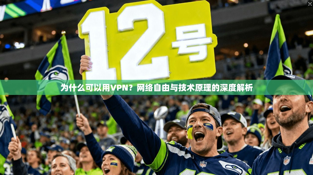 为什么可以用VPN？网络自由与技术原理的深度解析