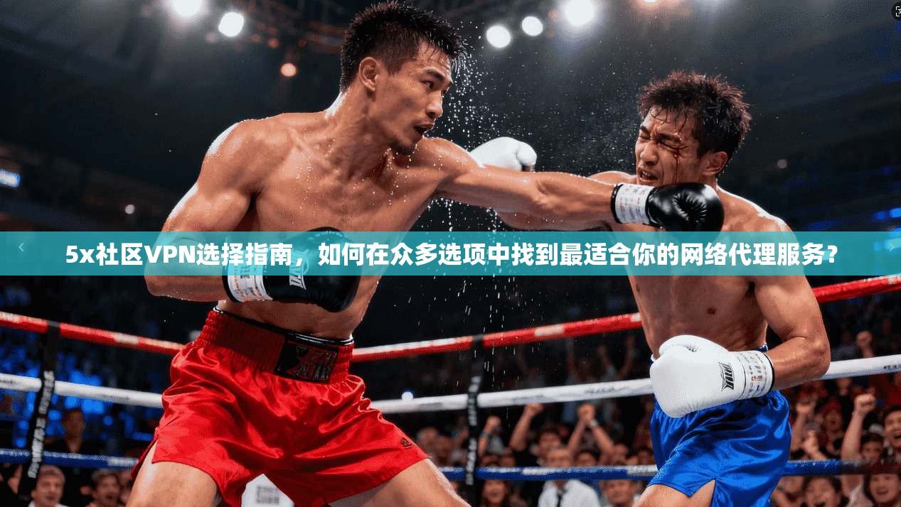 5x社区VPN选择指南，如何在众多选项中找到最适合你的网络代理服务？