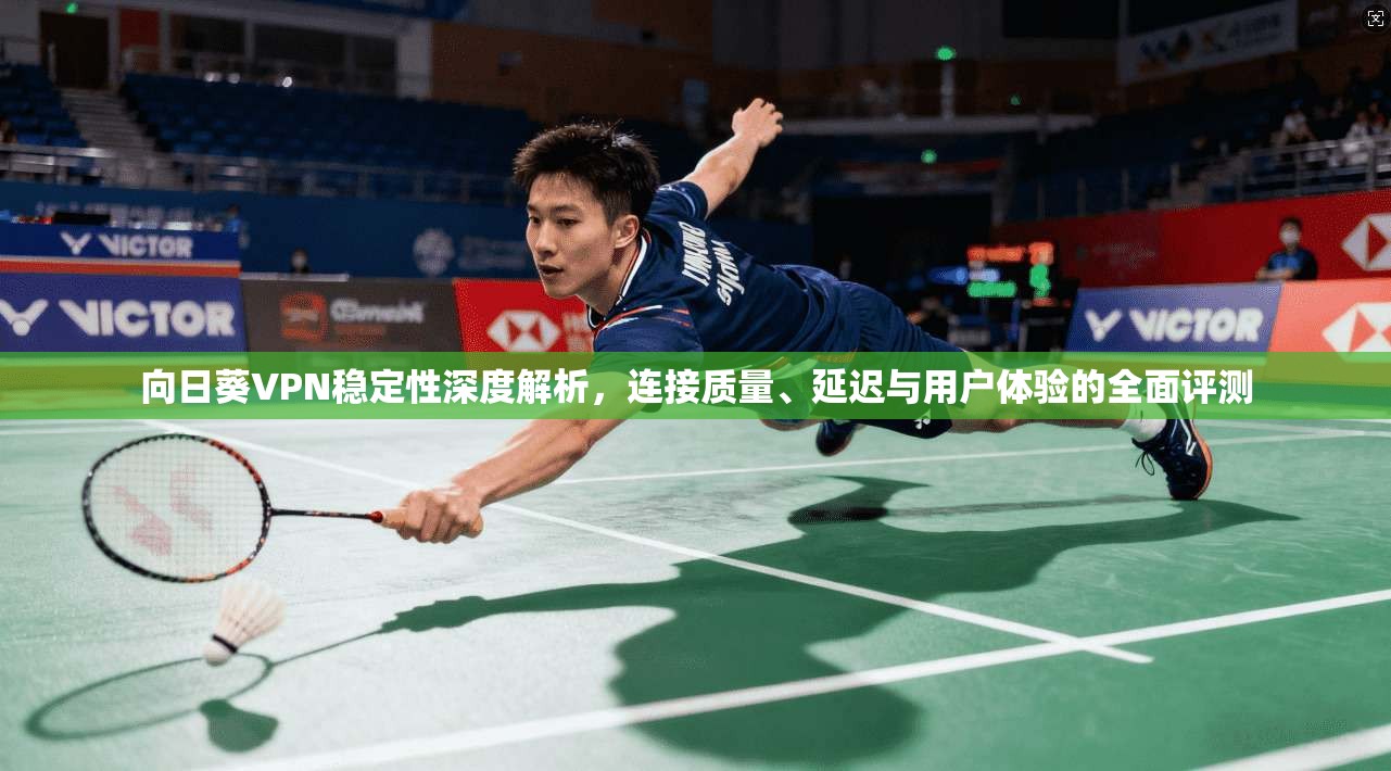 向日葵VPN稳定性深度解析，连接质量、延迟与用户体验的全面评测