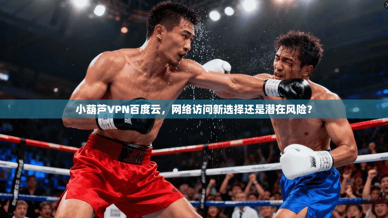 小葫芦VPN百度云，网络访问新选择还是潜在风险？