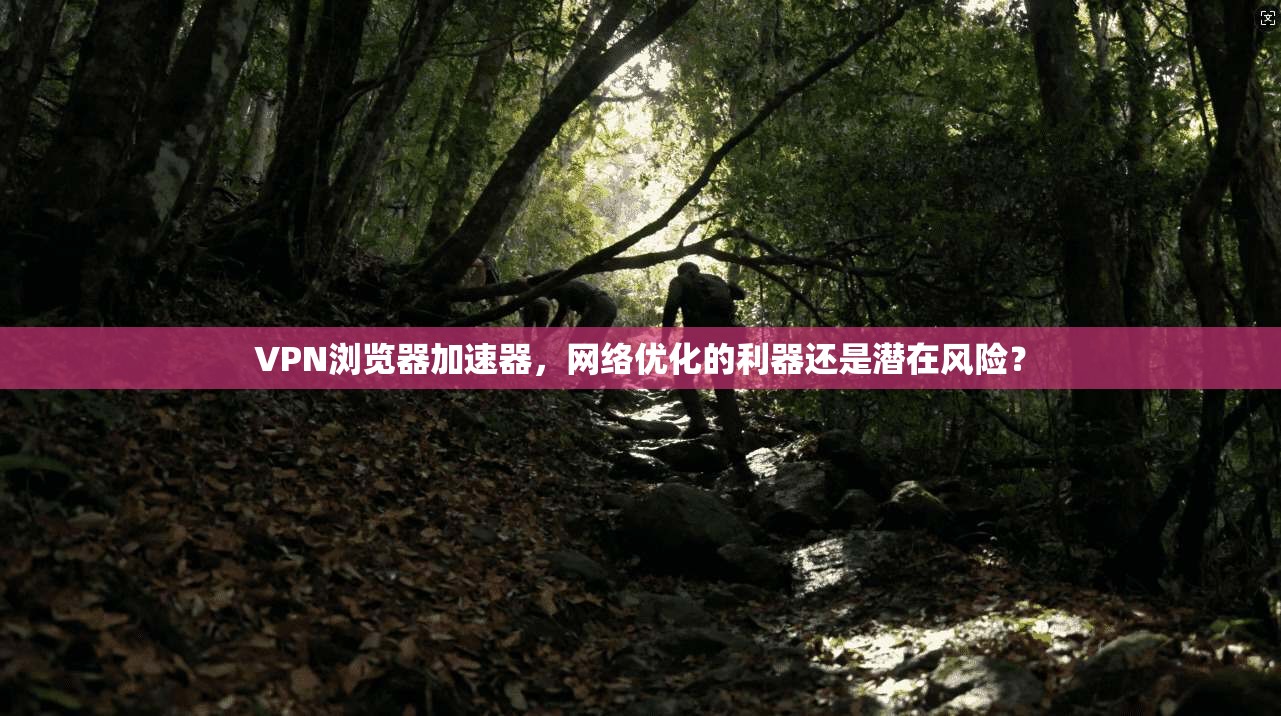 VPN浏览器加速器，网络优化的利器还是潜在风险？