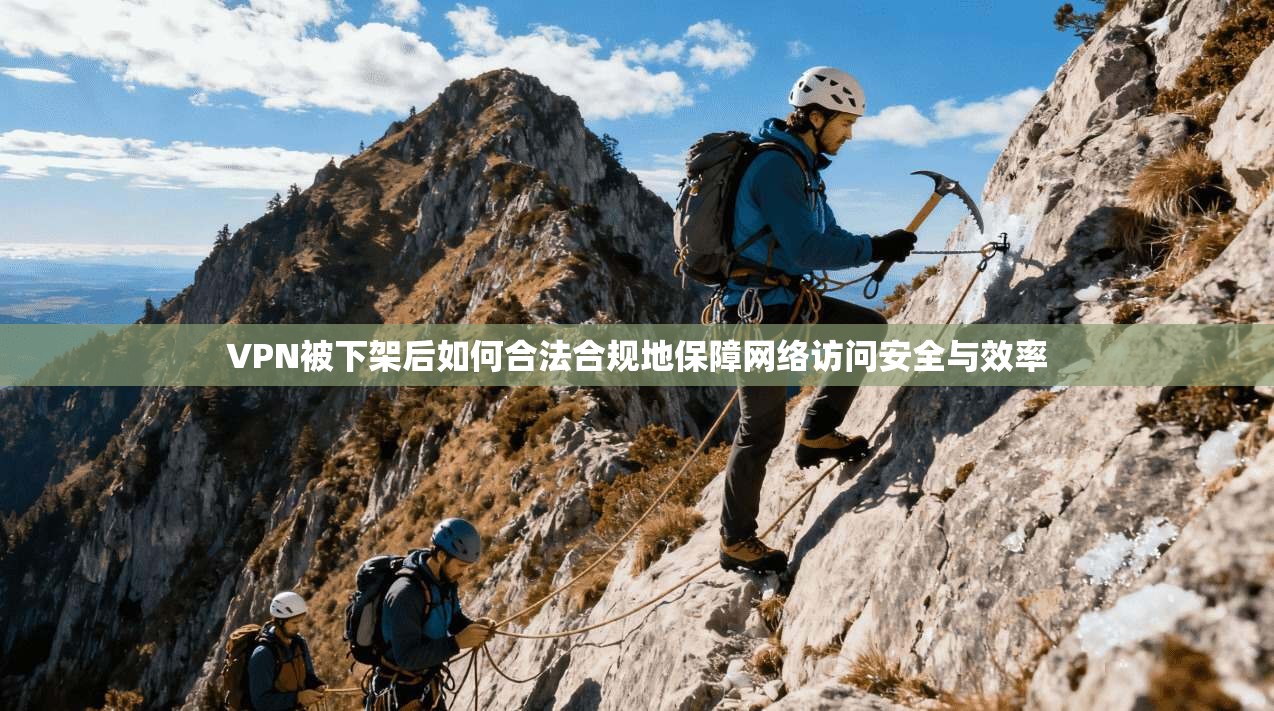 VPN被下架后如何合法合规地保障网络访问安全与效率
