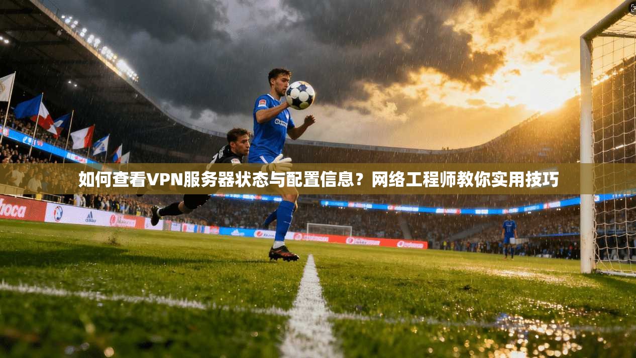 如何查看VPN服务器状态与配置信息？网络工程师教你实用技巧