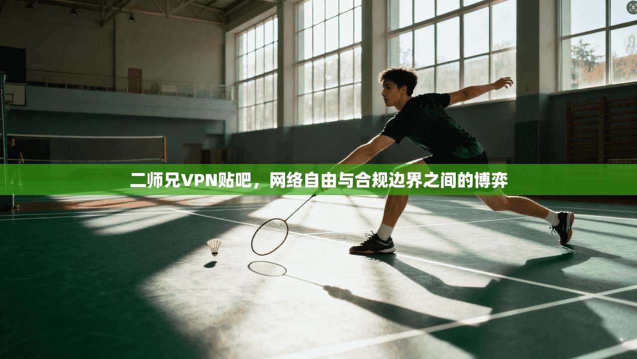 二师兄VPN贴吧，网络自由与合规边界之间的博弈