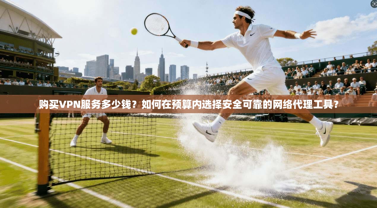 购买VPN服务多少钱？如何在预算内选择安全可靠的网络代理工具？