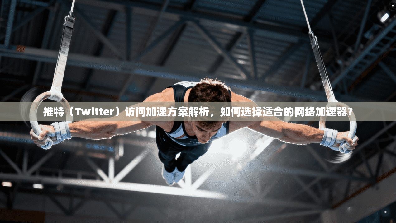 推特（Twitter）访问加速方案解析，如何选择适合的网络加速器？