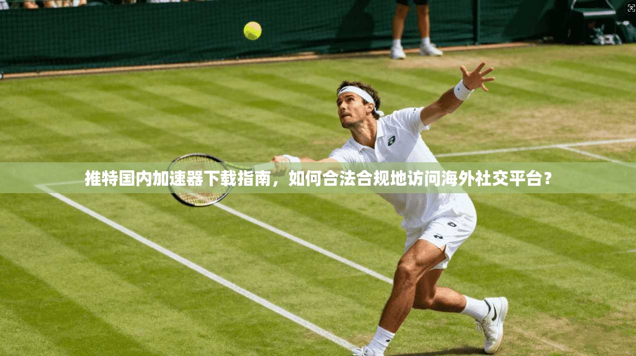推特国内加速器下载指南，如何合法合规地访问海外社交平台？