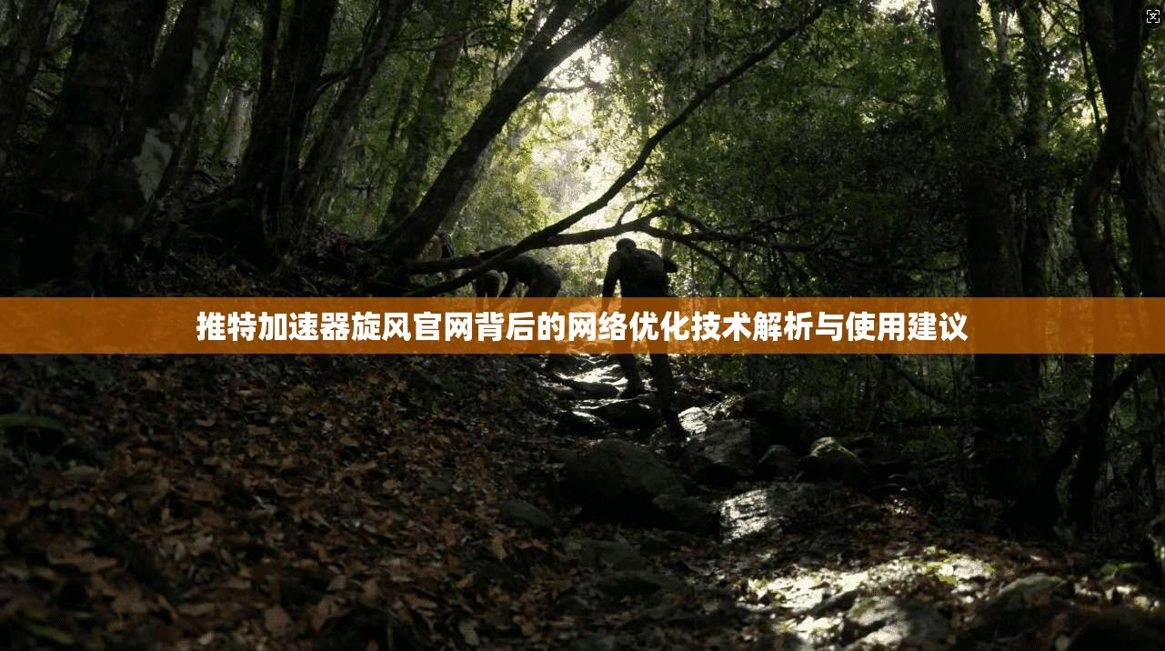 推特加速器旋风官网背后的网络优化技术解析与使用建议