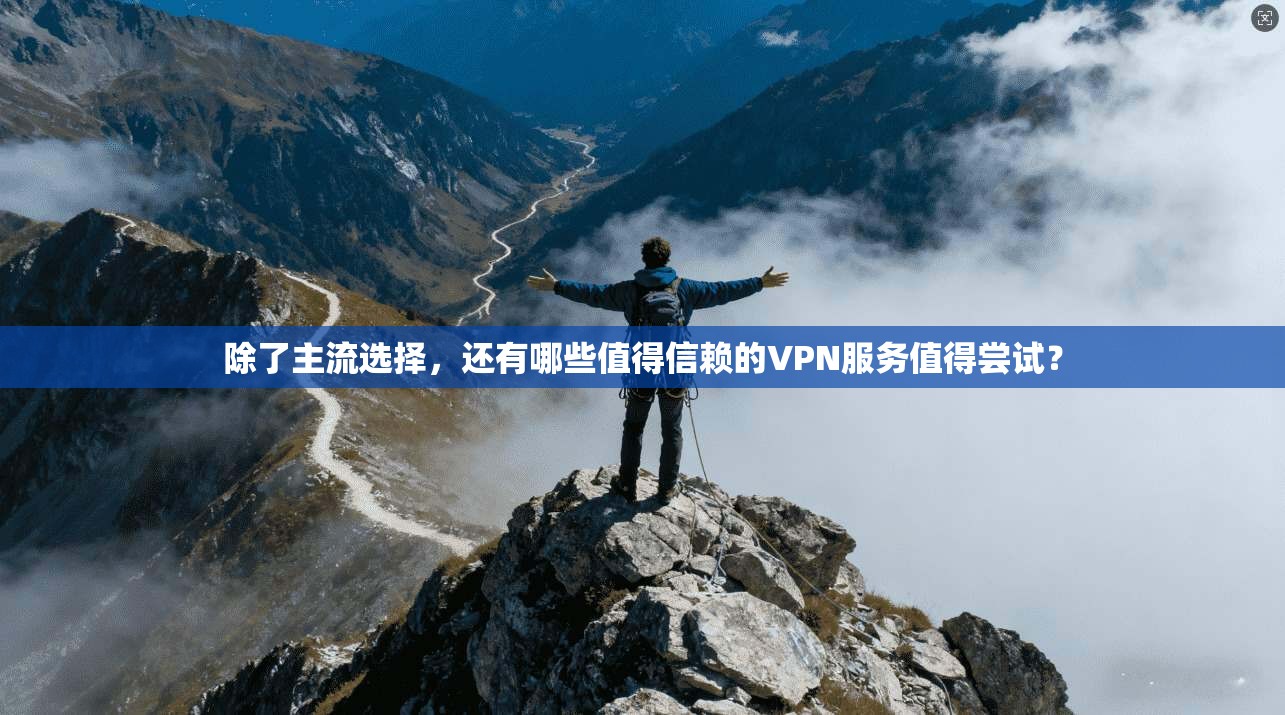 除了主流选择，还有哪些值得信赖的VPN服务值得尝试？