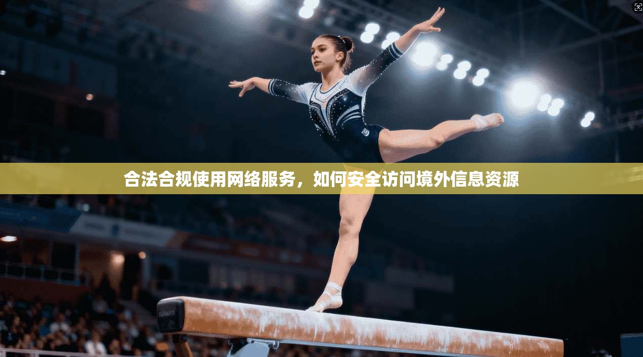 合法合规使用网络服务，如何安全访问境外信息资源