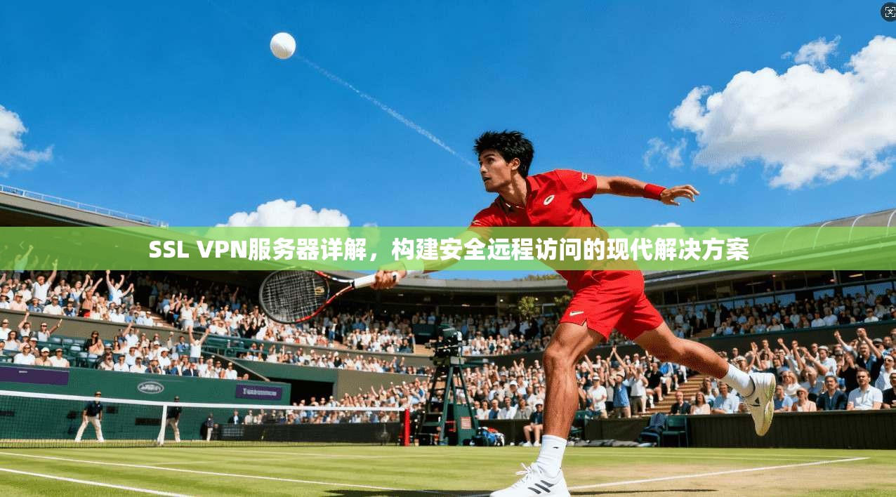 SSL VPN服务器详解，构建安全远程访问的现代解决方案