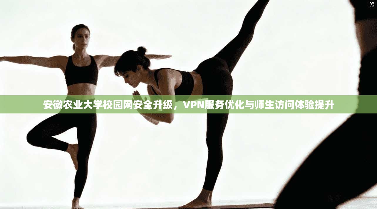 安徽农业大学校园网安全升级，VPN服务优化与师生访问体验提升