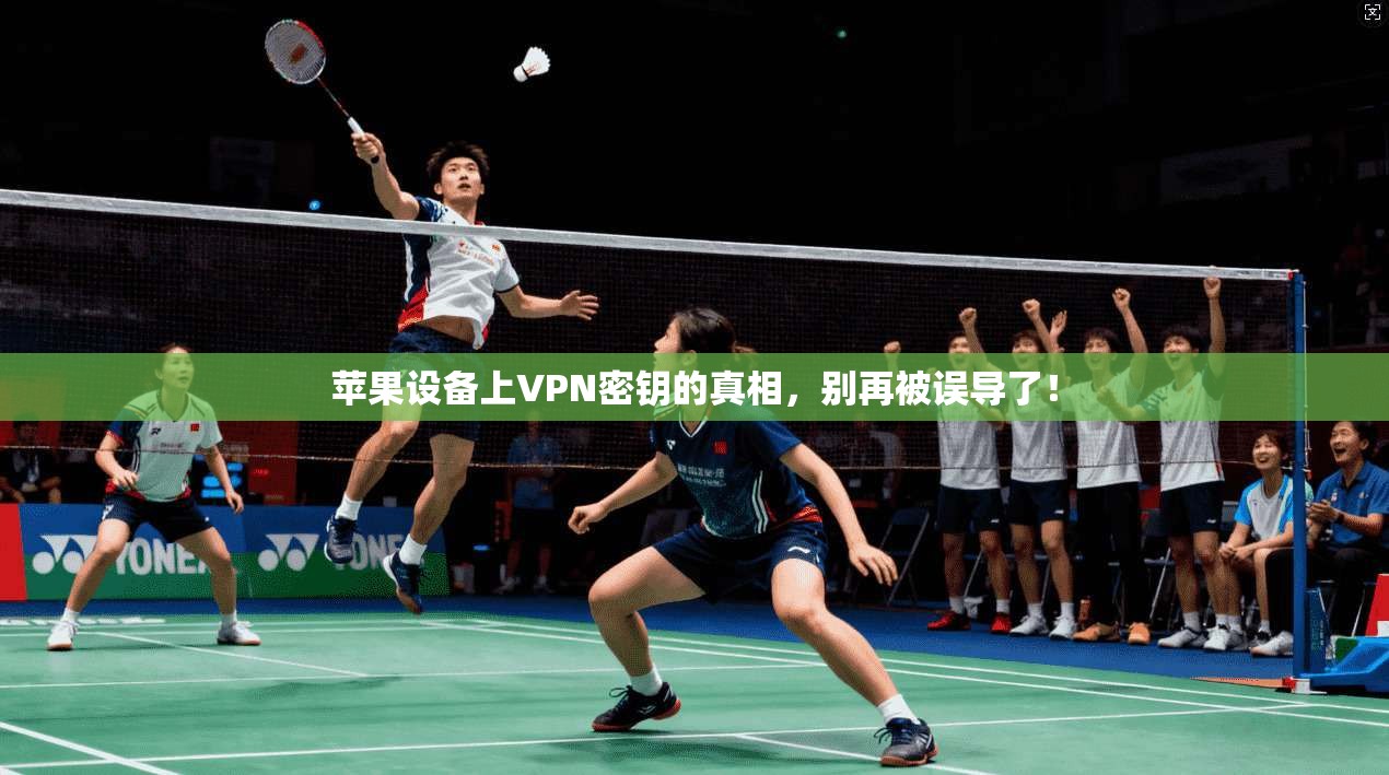 苹果设备上VPN密钥的真相，别再被误导了！