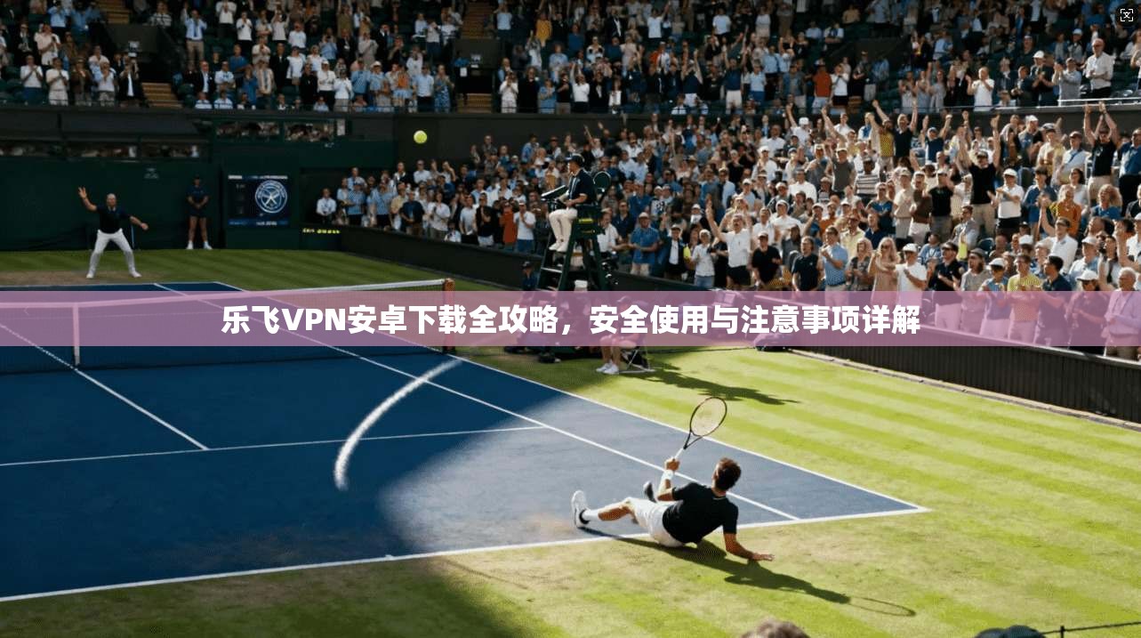乐飞VPN安卓下载全攻略，安全使用与注意事项详解
