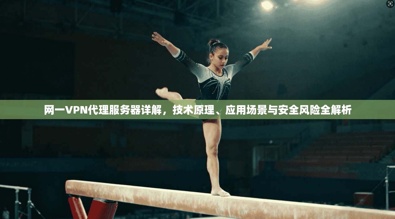 网一VPN代理服务器详解，技术原理、应用场景与安全风险全解析
