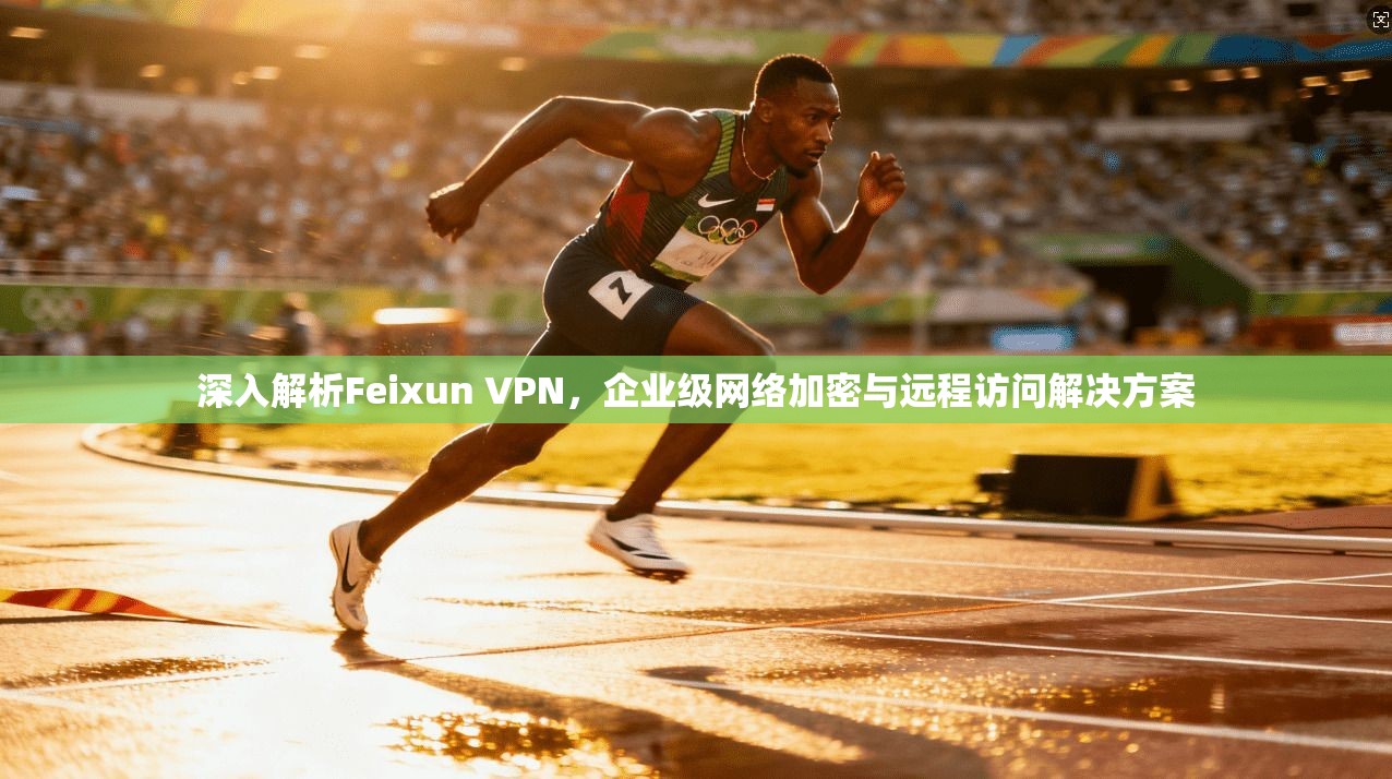 深入解析Feixun VPN，企业级网络加密与远程访问解决方案